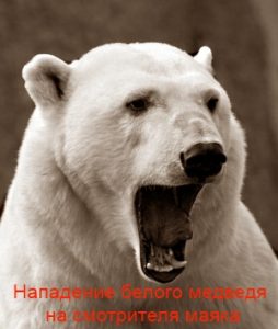 Нападение белого медведя на смотрителя маяка